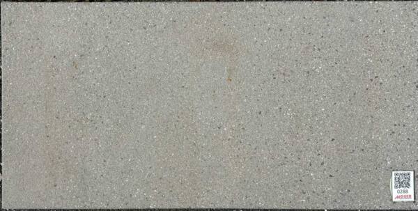 Betonstein Platte platingrau